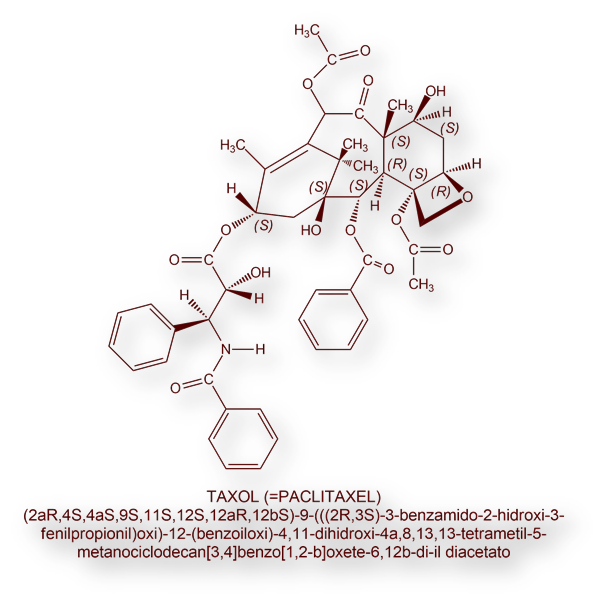 Regarder Combien De Temps Pour ã©Liminer Le Taxol Populaire Regarder Combien De Temps Pour ã©Liminer Le Taxol Populaire