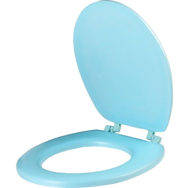 Blue Toilet Seat A Comprehensive Guide