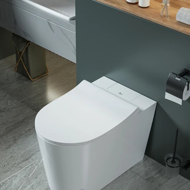 What is the Highest Toilet Height A Comprehensive Guid