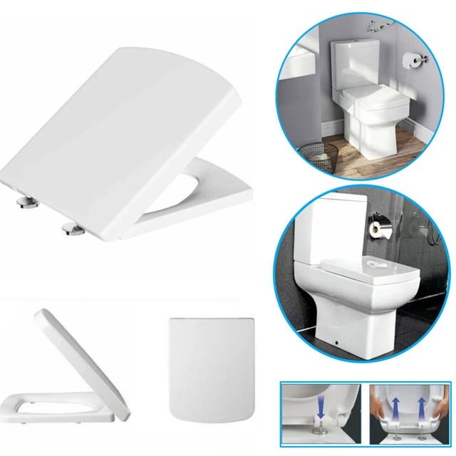 Understanding Toilet Seat Shapes A Comprehensive Guide