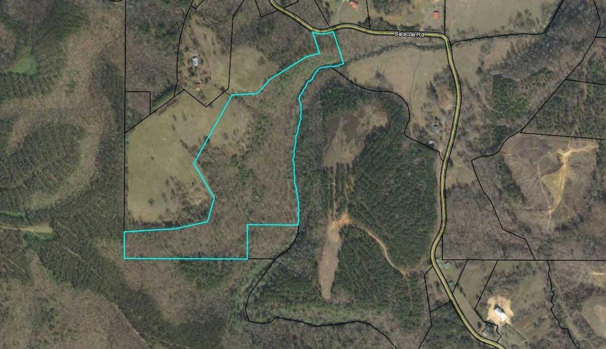 33.448 +/ Wooded Acres with Creek, Bartow County for Sale in Fairmount
