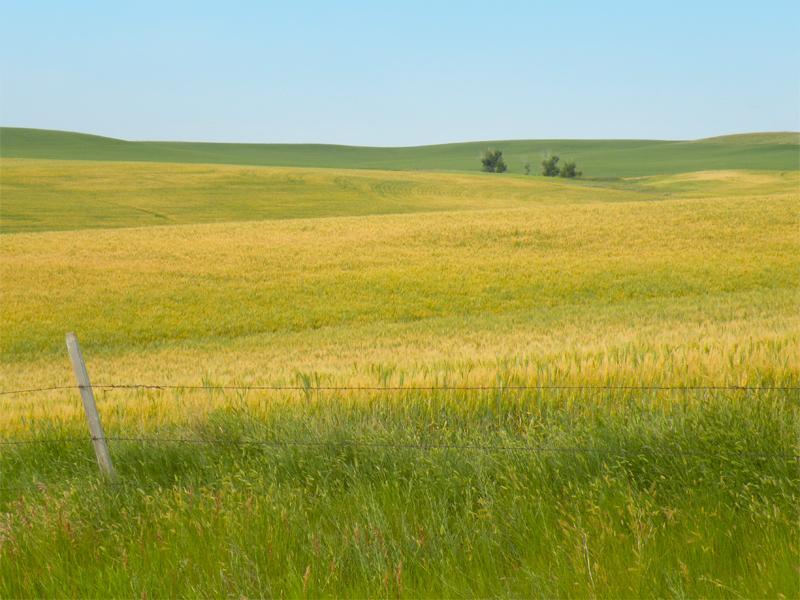 Hunting Property Denton, MT Fergus County Land for Sale Farm