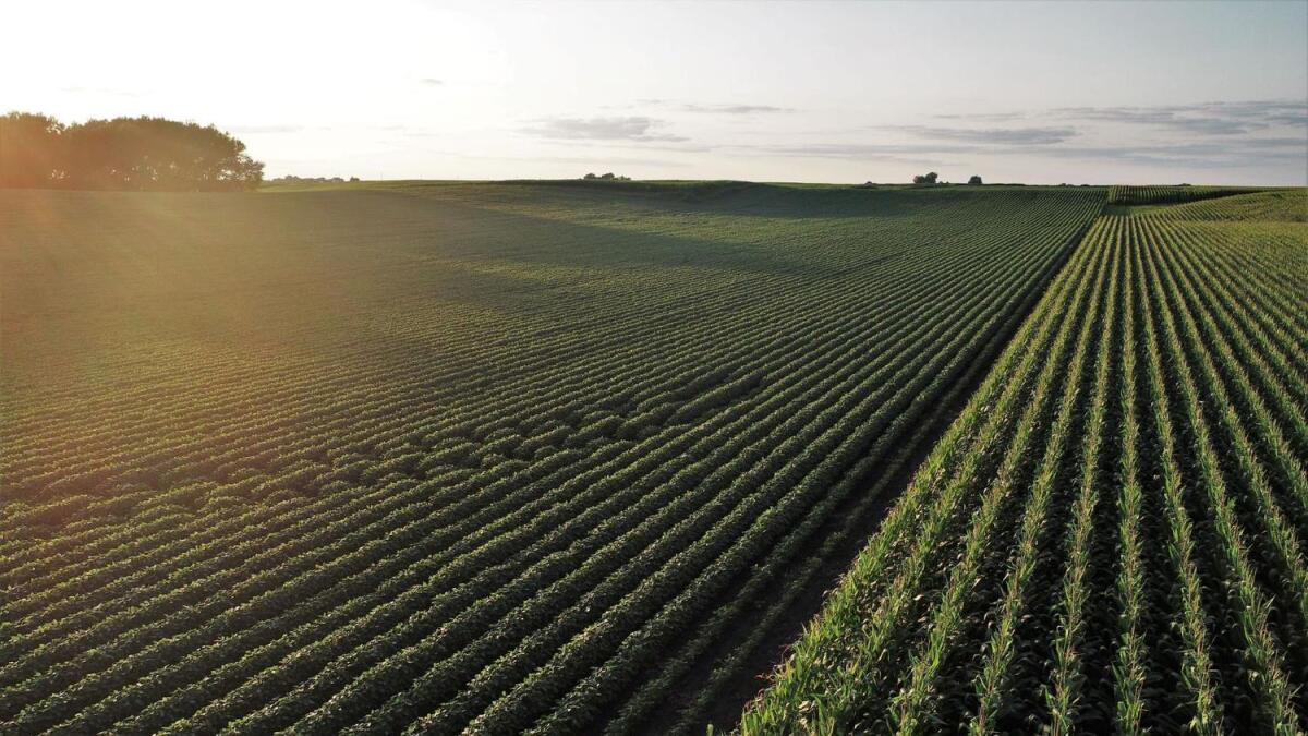 191.74 Acres m/l, Boone Co., Pilot Mound, IA for Sale in Pilot Mound
