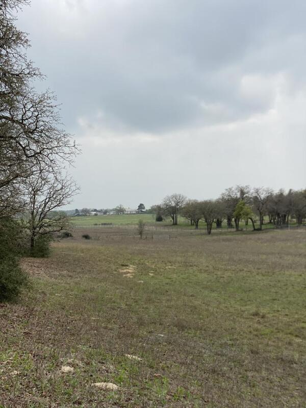 15.0 Acres (Section 2) in Thorndale for Sale in Thorndale, TX Milam