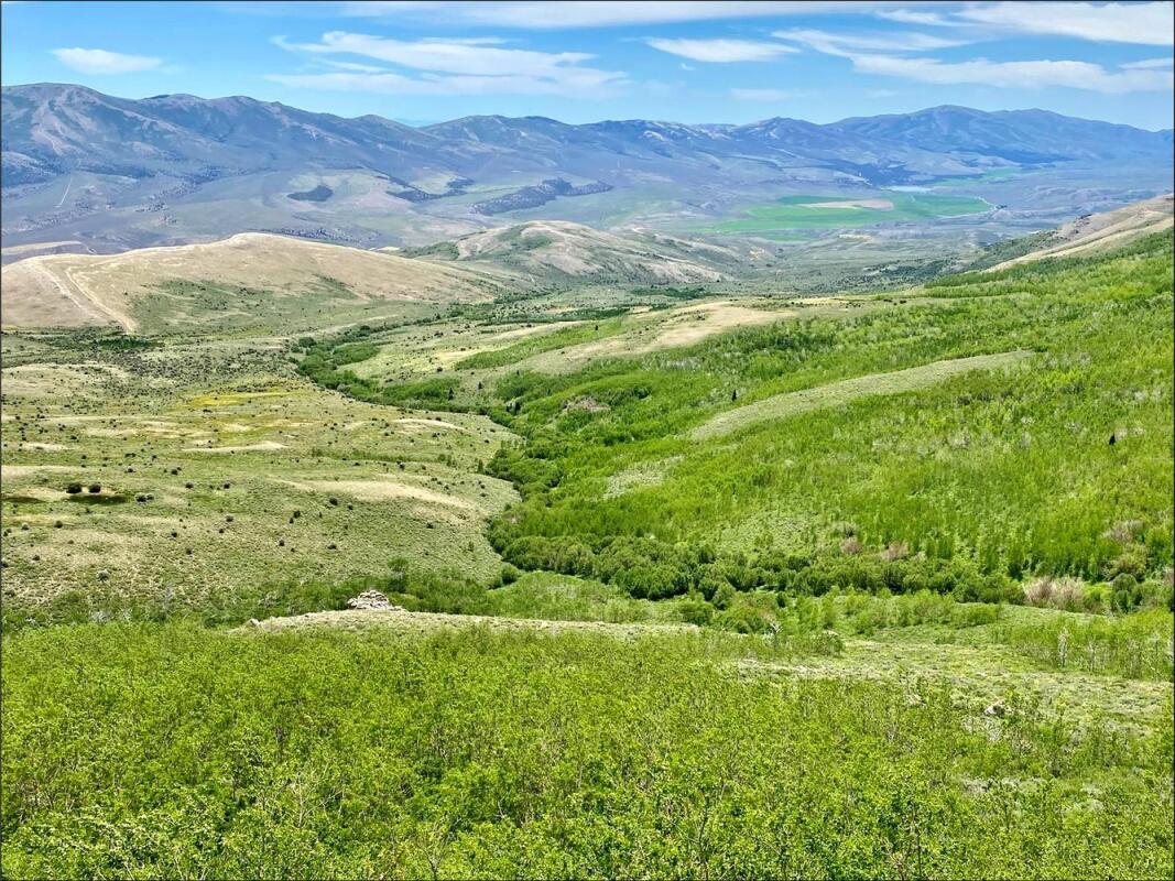 Goose Creek Mountain Land & Mining Claims , UT Box Elder County