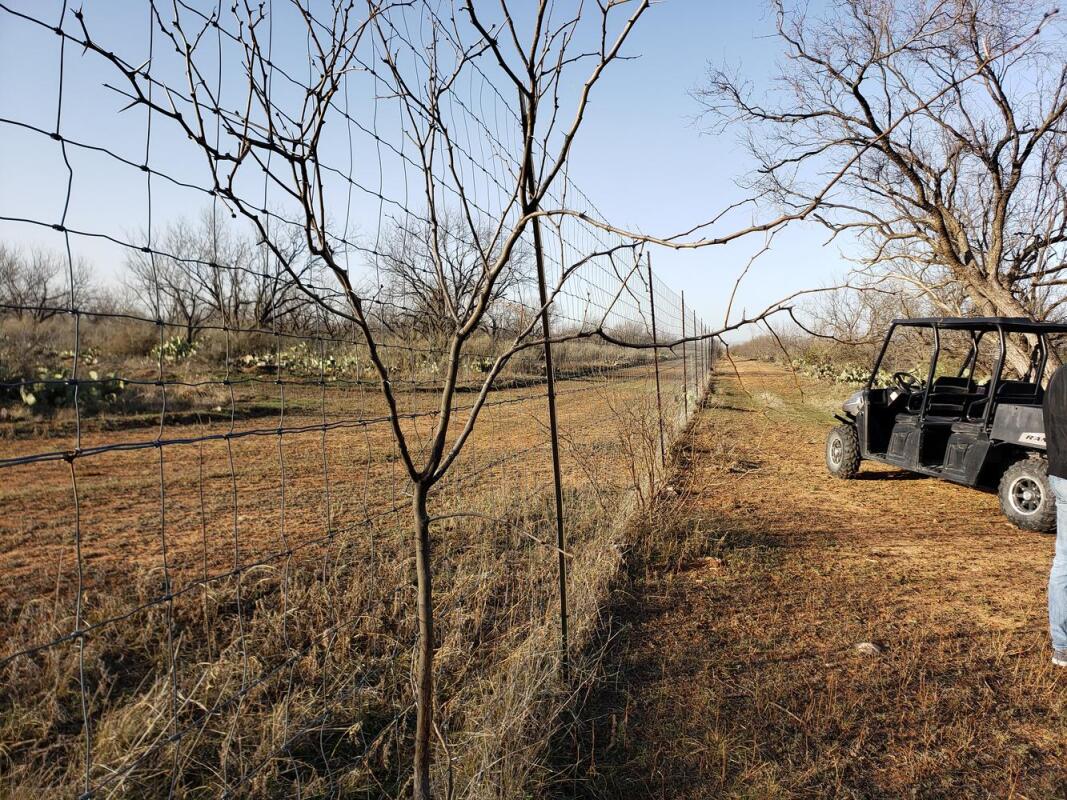 150 acre high fenced hunting ranch for Sale in Robert Lee, TX Coke