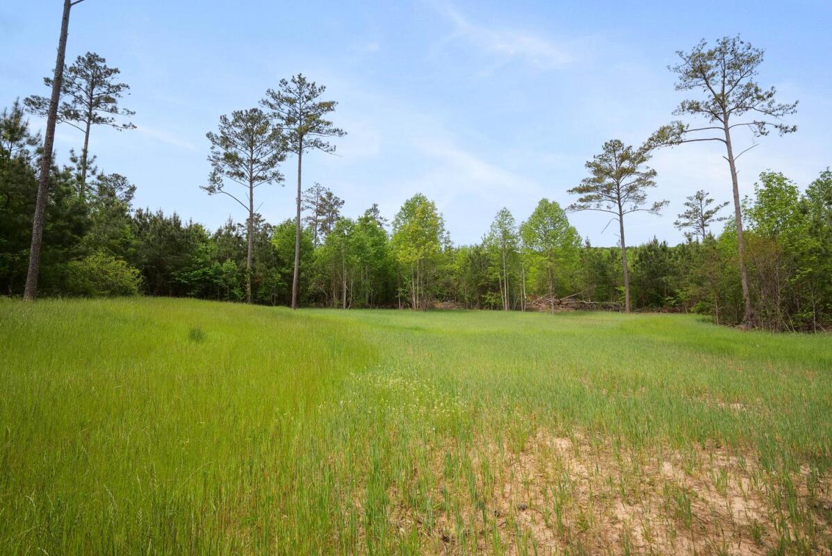 Dutton Creek Country Tracts Alabama Land For Sale for Sale in Danville, AL Lawrence County