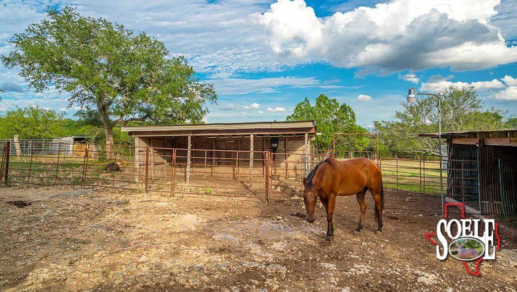 Spring BranchBulverdeNew Braunfels Area for Sale in Bulverde, TX