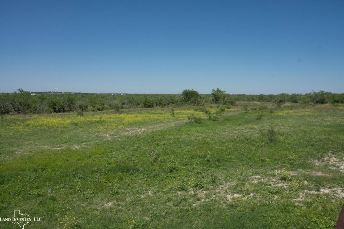 Kenedy Ranch for Sale in Kenedy, TX Karnes County Farm & Ranch