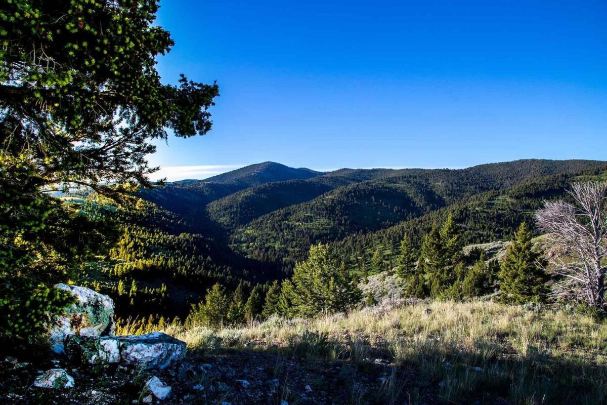 MTX Ranch for Sale in Virginia City, MT Madison County Farm & Ranch