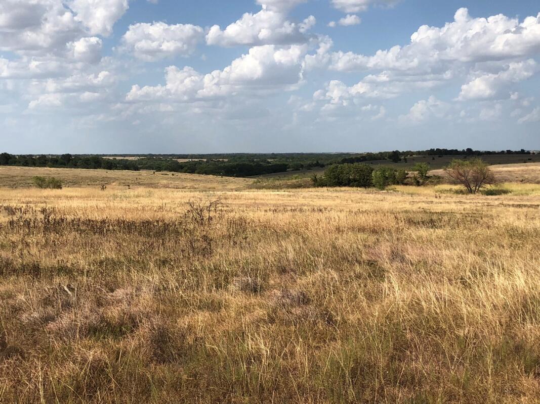 ROLLING CATTLE LAND for Sale in Slidell, TX Denton County Farm & Ranch