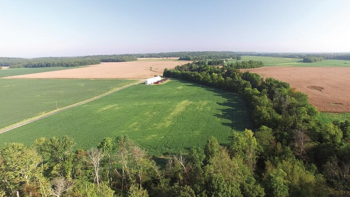 White County, IL Land Auction for Sale in Phillipstown Farm & Ranch