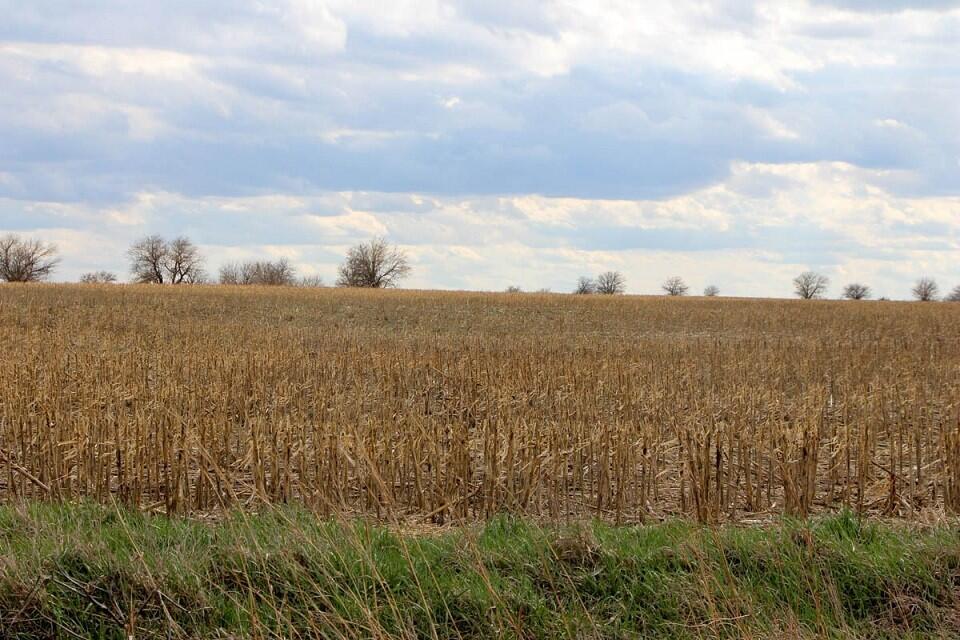 Cloud & Saline County, KS Farmland Auctions for Sale in Concordia