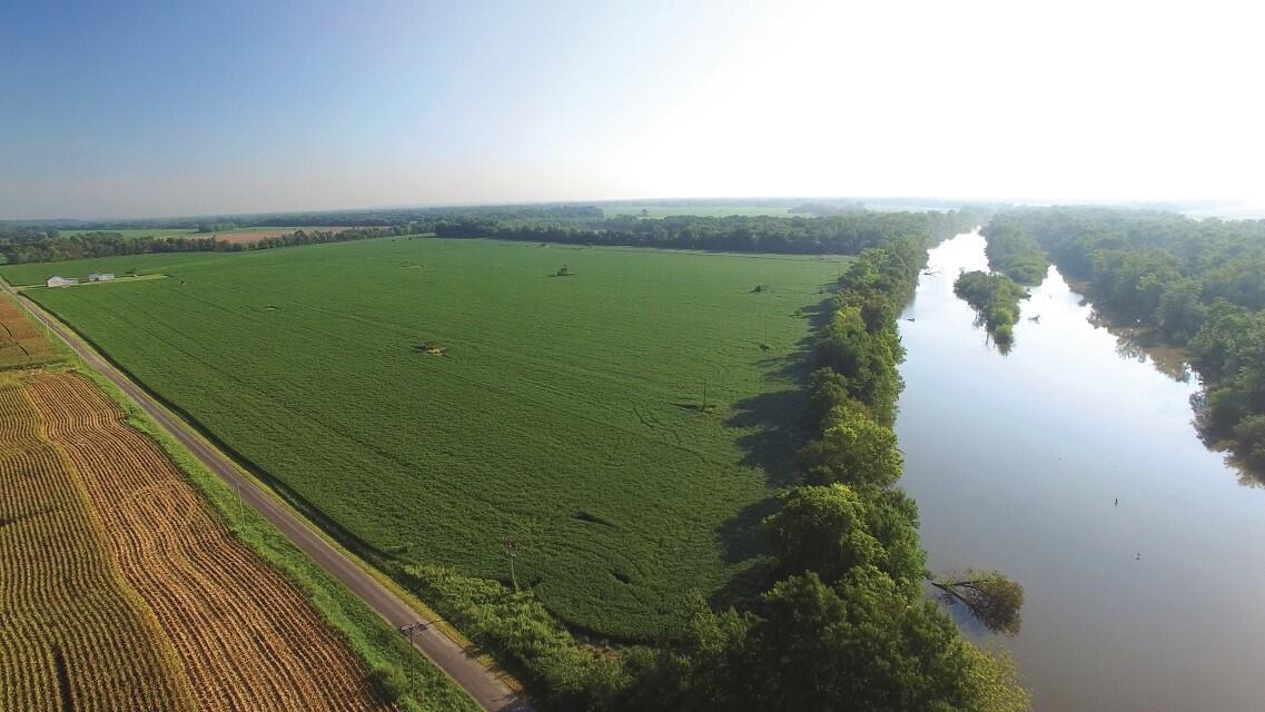 White County, IL Land Auction for Sale in Phillipstown Farm & Ranch