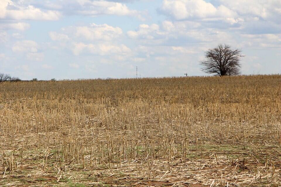 Cloud & Saline County, KS Farmland Auctions for Sale in Concordia