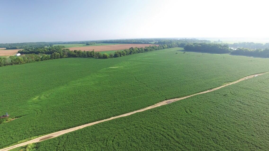 White County, IL Land Auction for Sale in Phillipstown Farm & Ranch