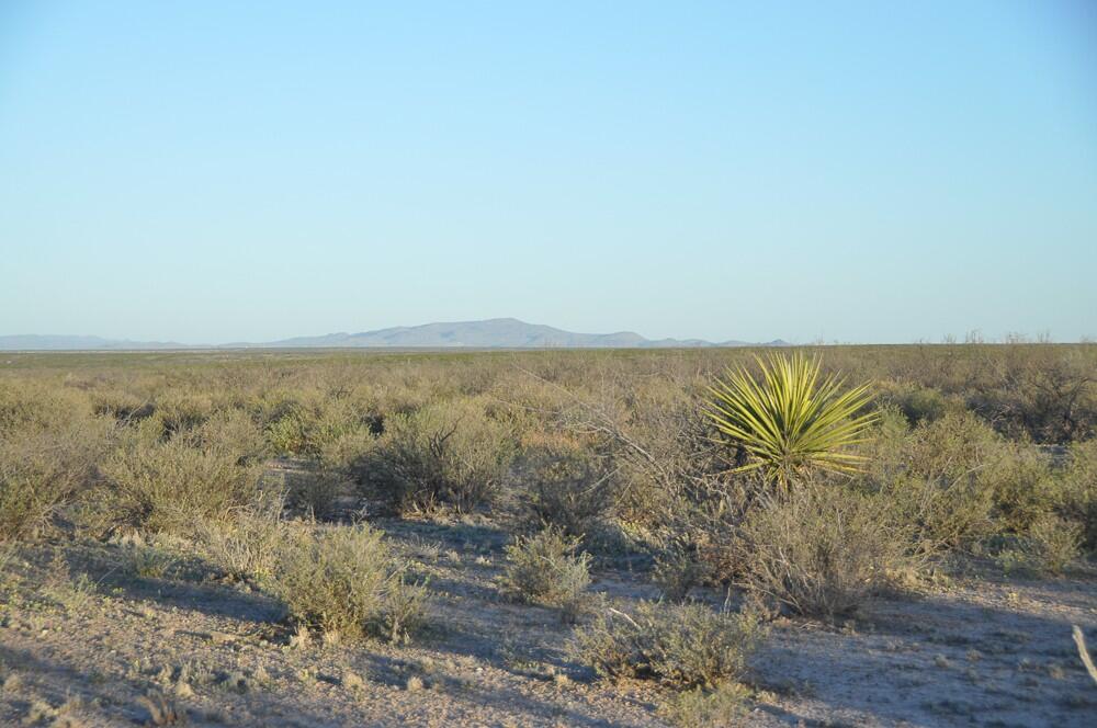 Coyanosa Draw Ranch for Sale in Fort Stockton, TX Pecos County Farm & Ranch