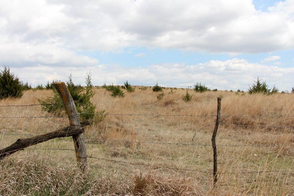 Cloud & Saline County, KS Farmland Auctions for Sale in Concordia