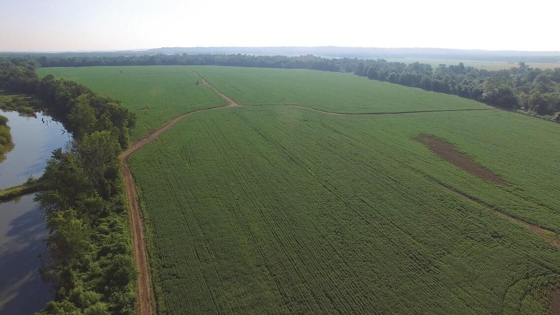 White County, IL Land Auction for Sale in Phillipstown Farm & Ranch