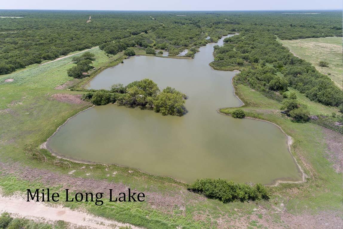 MYANE RANCH Zavala County Texas for Sale in Crystal City, TX Zavala