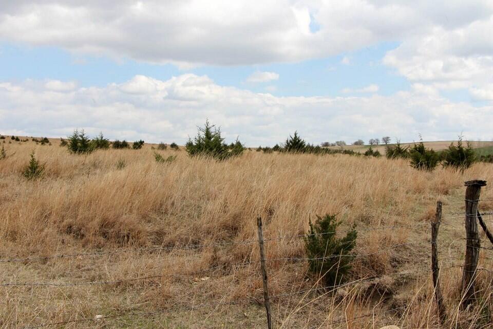 Cloud & Saline County, KS Farmland Auctions for Sale in Concordia