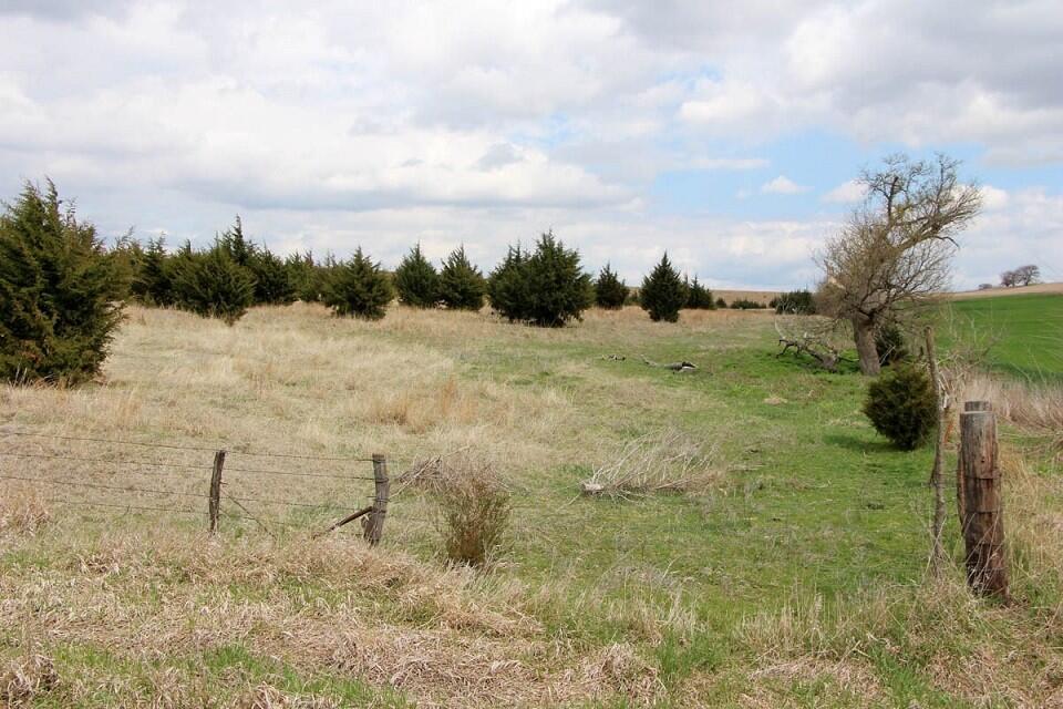 Cloud & Saline County, KS Farmland Auctions for Sale in Concordia