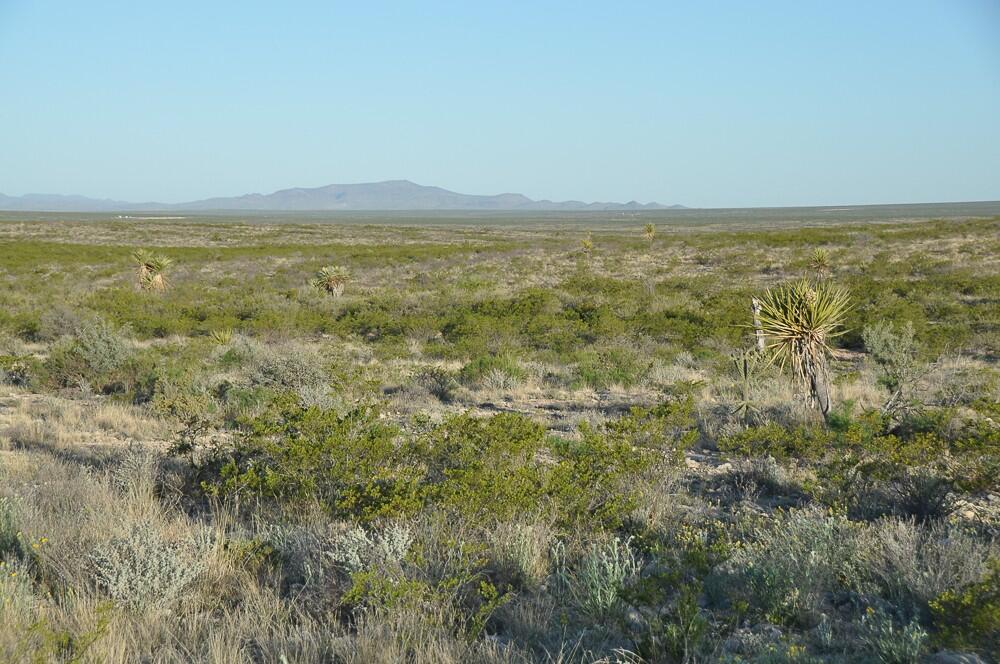 Coyanosa Draw Ranch for Sale in Fort Stockton, TX Pecos County Farm & Ranch