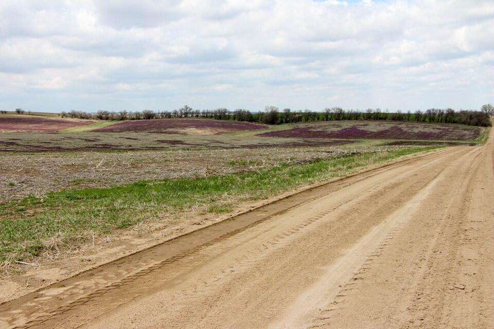 Cloud & Saline County, KS Farmland Auctions for Sale in Concordia