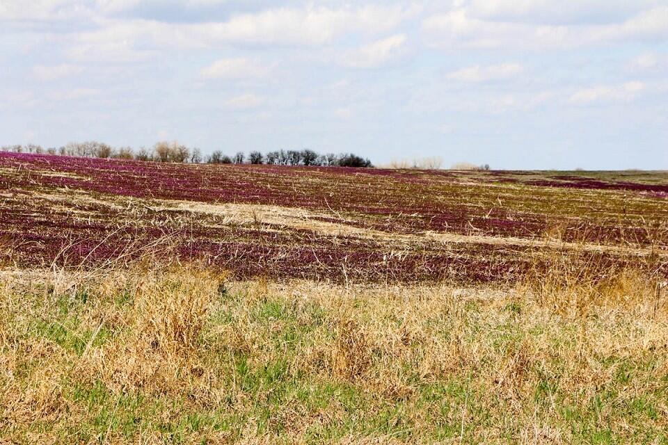 Cloud & Saline County, KS Farmland Auctions for Sale in Concordia