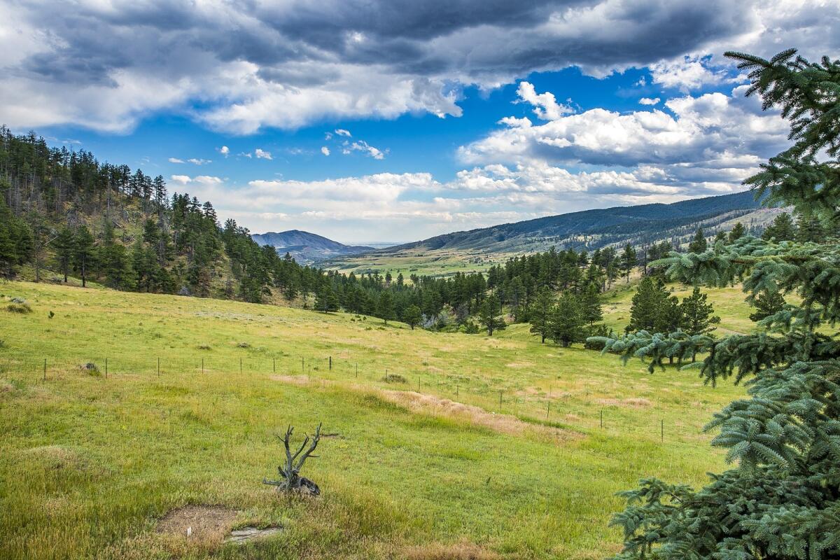 Ranch for Sale in Loveland, CO Larimer County Farm & Ranch