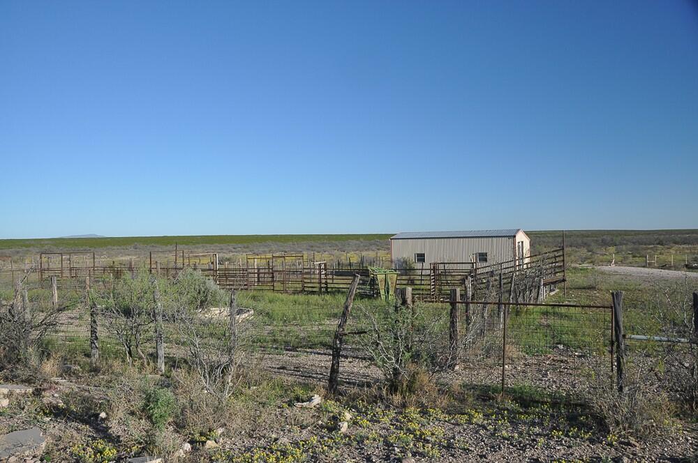 Coyanosa Draw Ranch for Sale in Fort Stockton, TX Pecos County Farm & Ranch