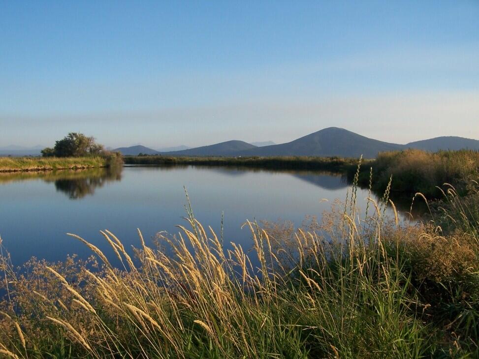 The Island Ranch for Sale in Fall River Mills Farm & Ranch