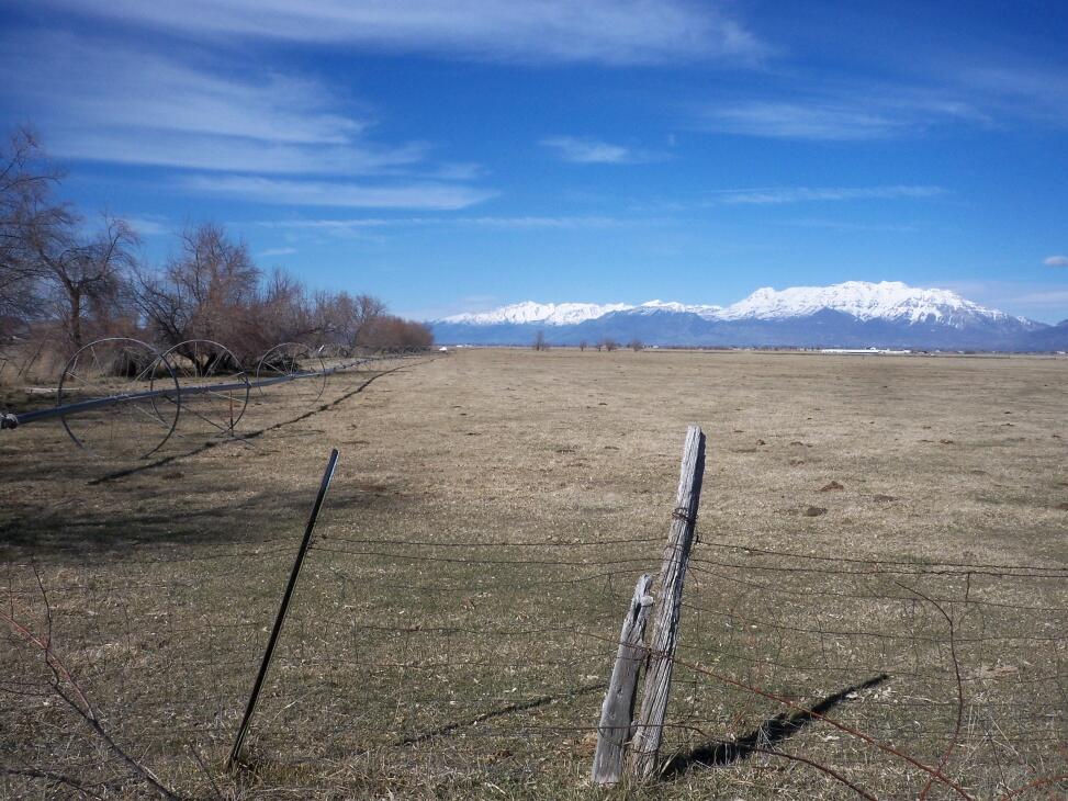 Benjamin Crop Land for Sale in Benjamin Farm & Ranch