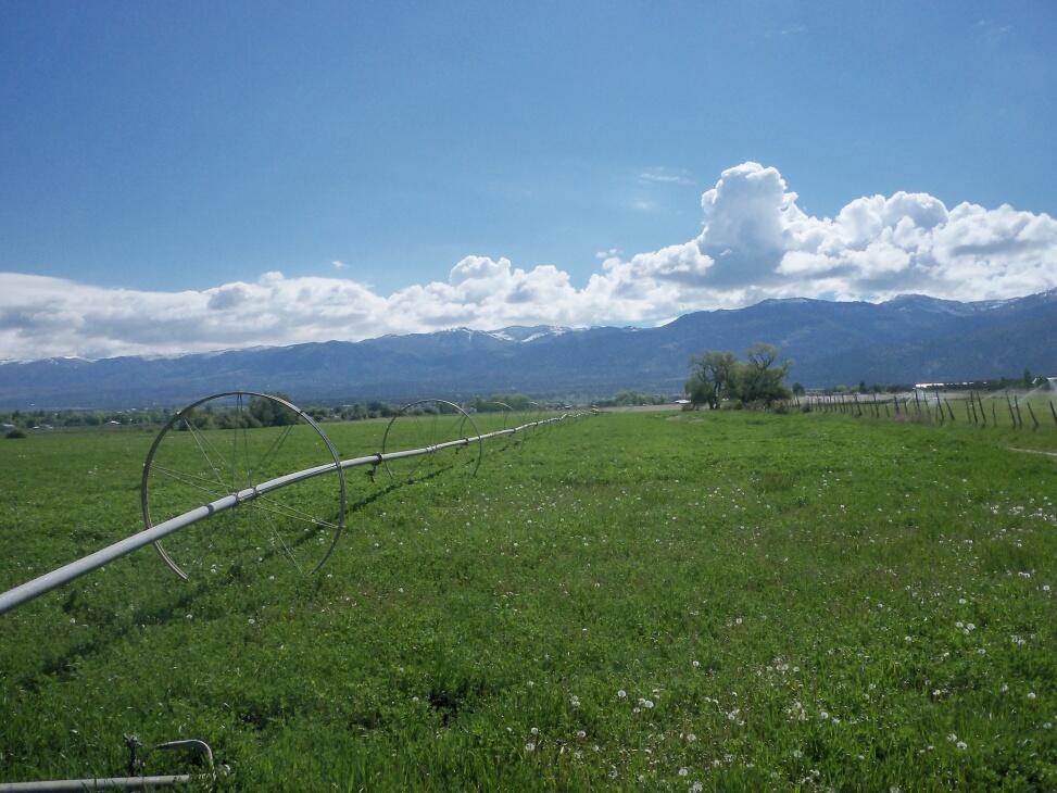 Spring City Hay Farm for Sale in Spring City Farm & Ranch