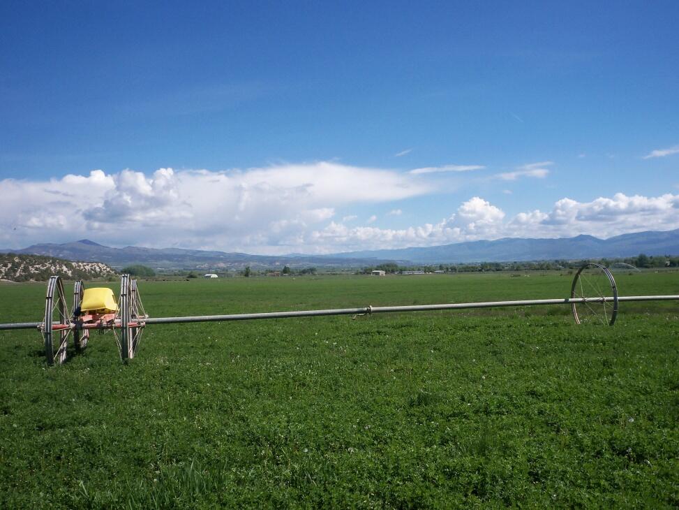 Spring City Hay Farm for Sale in Spring City Farm & Ranch