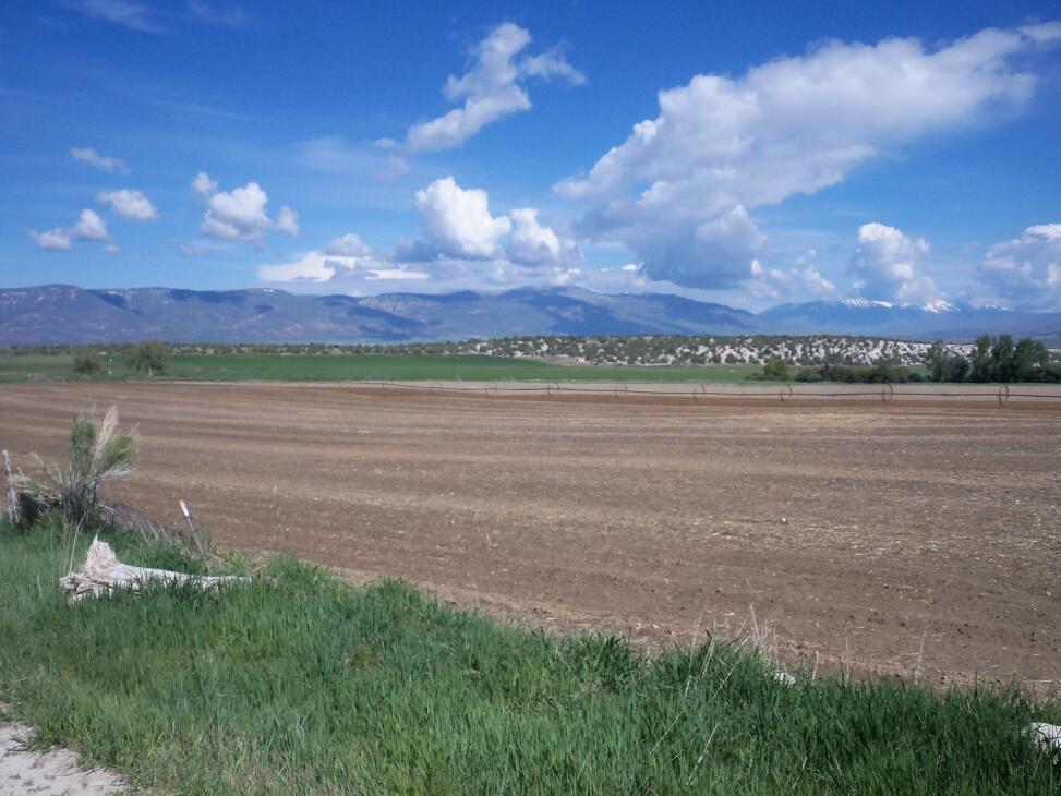 Spring City Hay Farm for Sale in Spring City Farm & Ranch