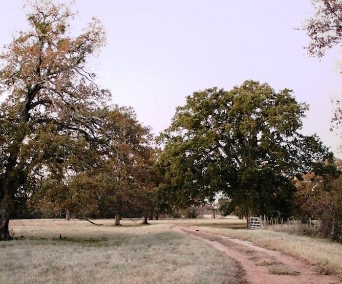 Coyanosa Draw Ranch for Sale in Fort Stockton, TX Pecos County Farm & Ranch
