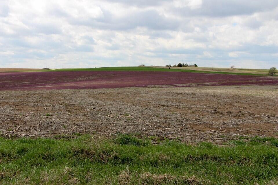 Cloud & Saline County, KS Farmland Auctions for Sale in Concordia Farm & Ranch