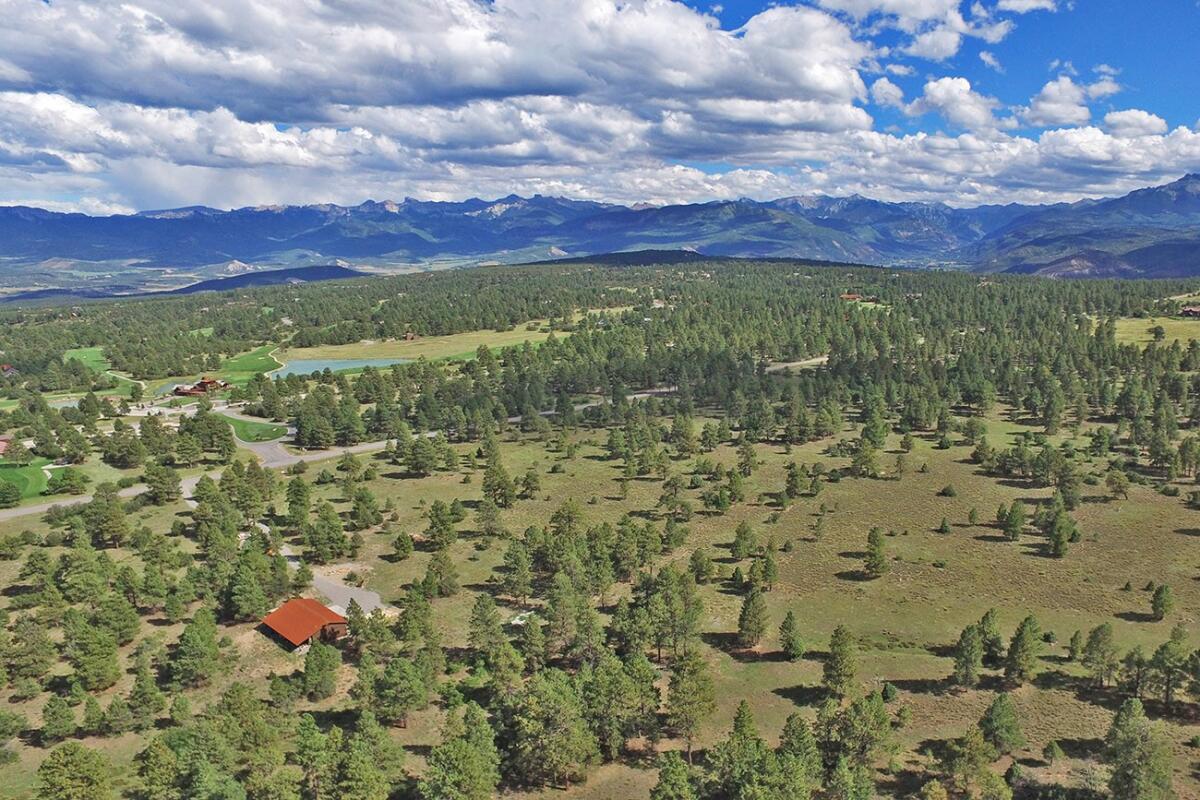 Whispering Pines for Sale in Ridgway, CO Ouray County Farm & Ranch