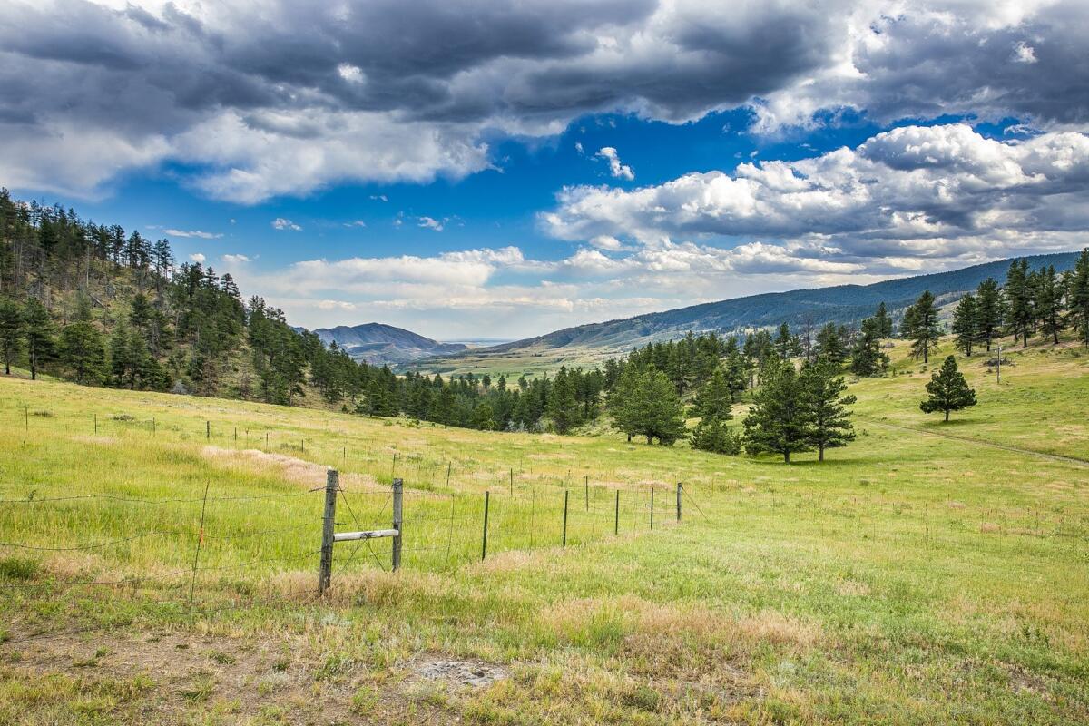 Ranch for Sale in Loveland, CO Larimer County Farm & Ranch