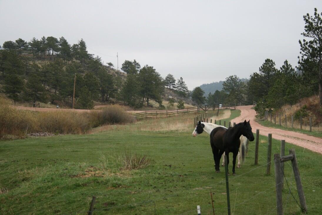 Revenue Generating Riverfront Farm for Sale in Belton, TX Bell County