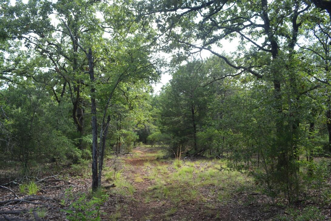 Affordable & Accessible Hunting Land w/ Pond & Utilities for Sale in Fairfield, TX Freestone