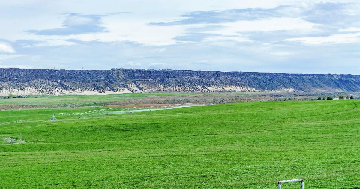 530 + Acres Bliss, Idaho for Sale in Bliss, ID Gooding County