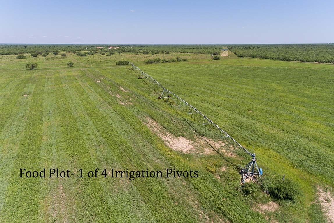 MYANE RANCH Zavala County Texas for Sale in Crystal City, TX Zavala