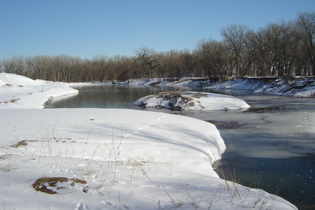 Affordable & Accessible Hunting Land w/ Pond & Utilities for Sale in