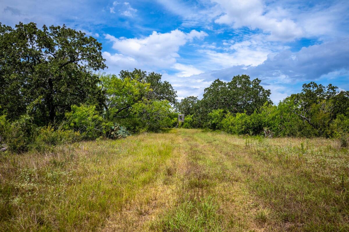 Exotic Hunting Ranch for Sale in Gillett, TX Karnes County Farm & Ranch