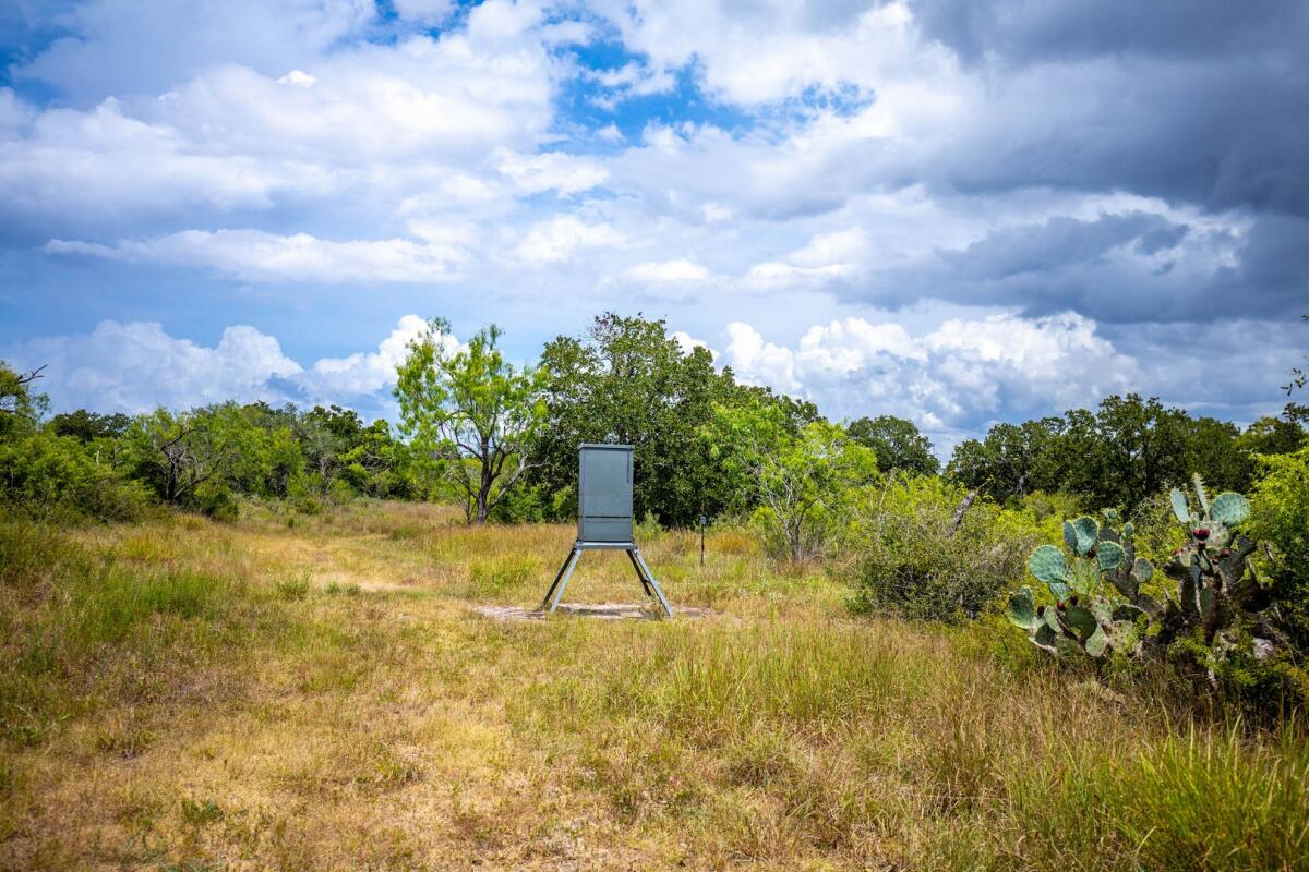 Exotic Hunting Ranch for Sale in Gillett, TX Karnes County Farm & Ranch