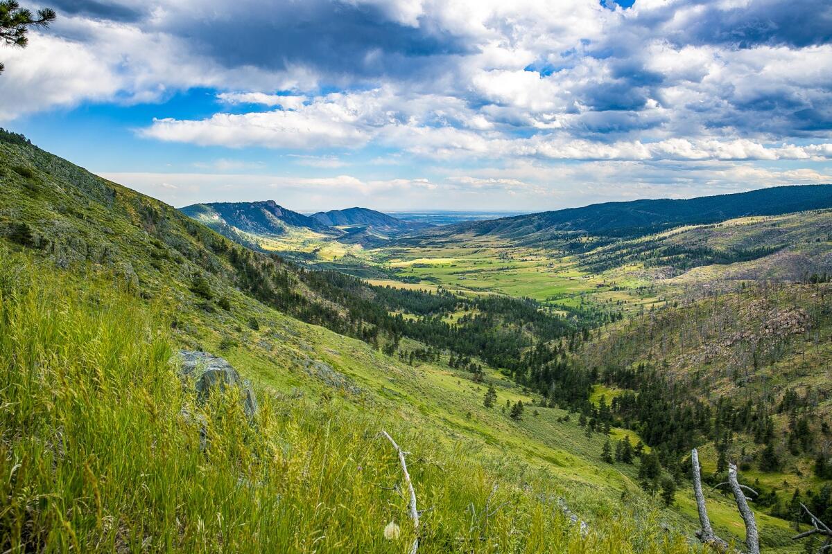 Ranch for Sale in Loveland, CO Larimer County Farm & Ranch