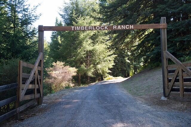 Trinity Center Estate for Sale in Trinity Center, CA Trinity County