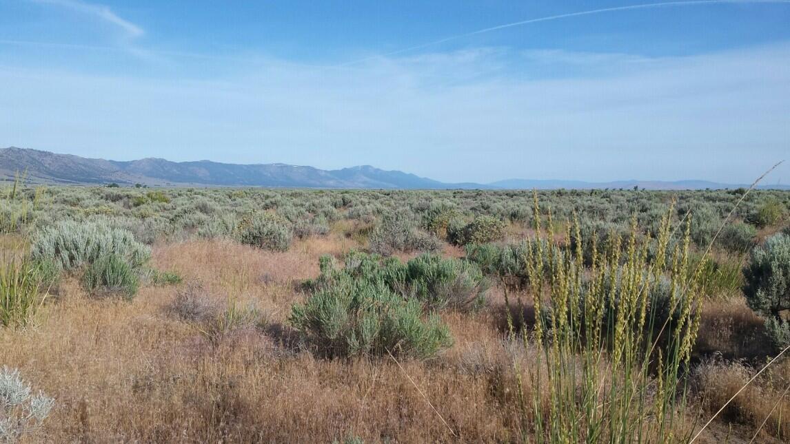 The Glass House for Sale in Jenner, CA Sonoma County Farm & Ranch